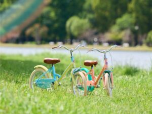 little tokyobike ( Limited edition) 数量限定 発売！