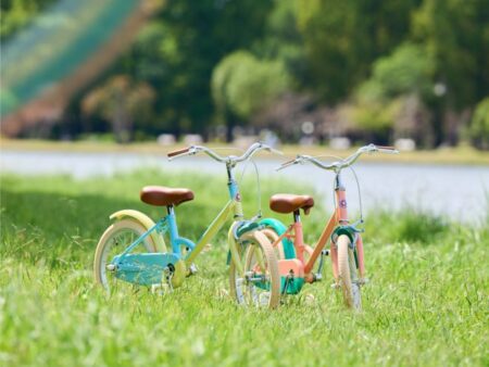 little tokyobike ( Limited edition) 数量限定 発売!